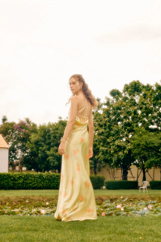 fabienne dress