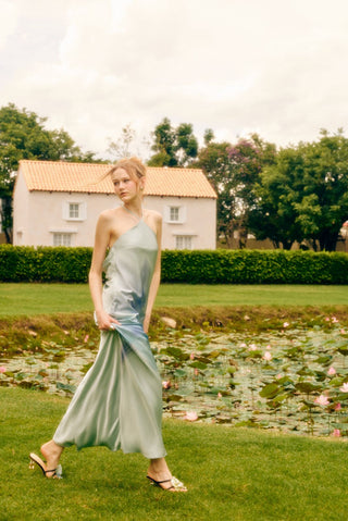 fabienne dress