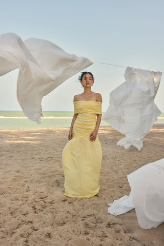 delphine dress