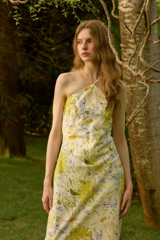 fabienne dress