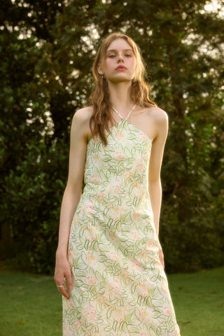 fabienne dress
