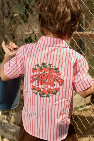 little harvest top
