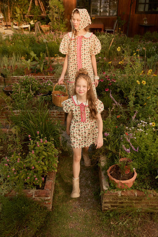 molly dress