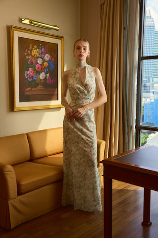 paula dress