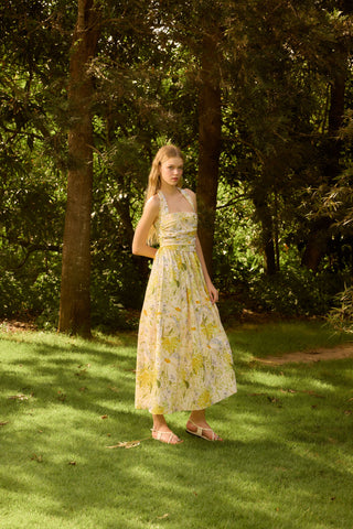 provence dress