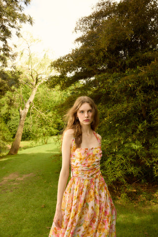 provence dress