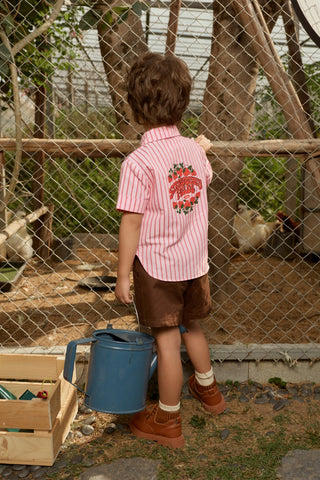 recipe shorts