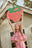 gingham strawberry
