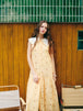 golden daisy field